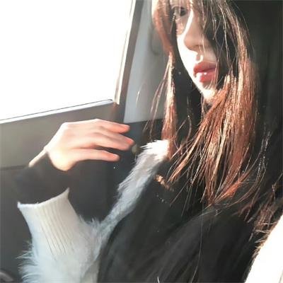暗战双凤楼 封面