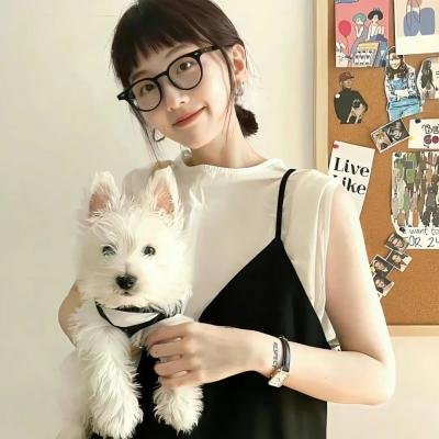 遥远的桥 封面